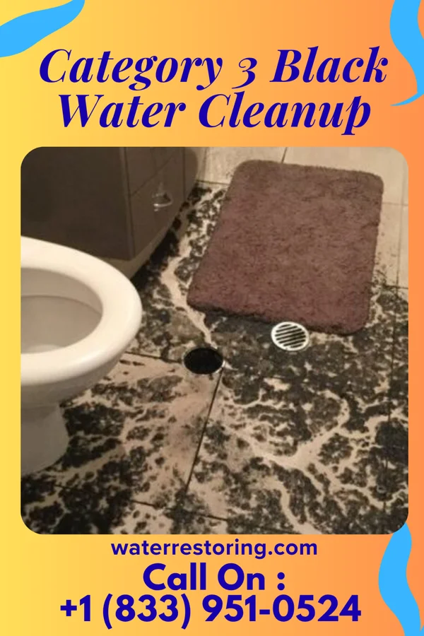 Category 3 Black Water Cleanup in Oakdale, MN