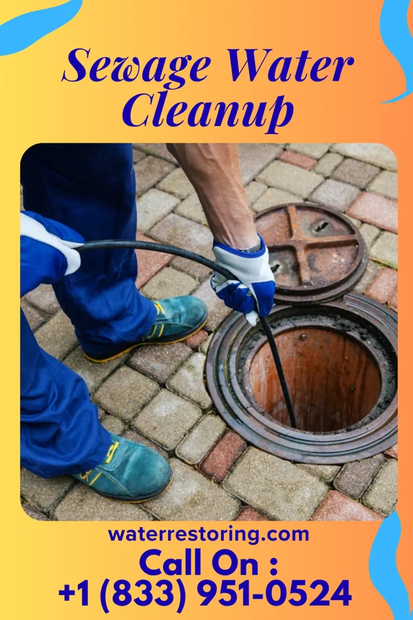 Sewage Water Cleanup in Oakdale, MN